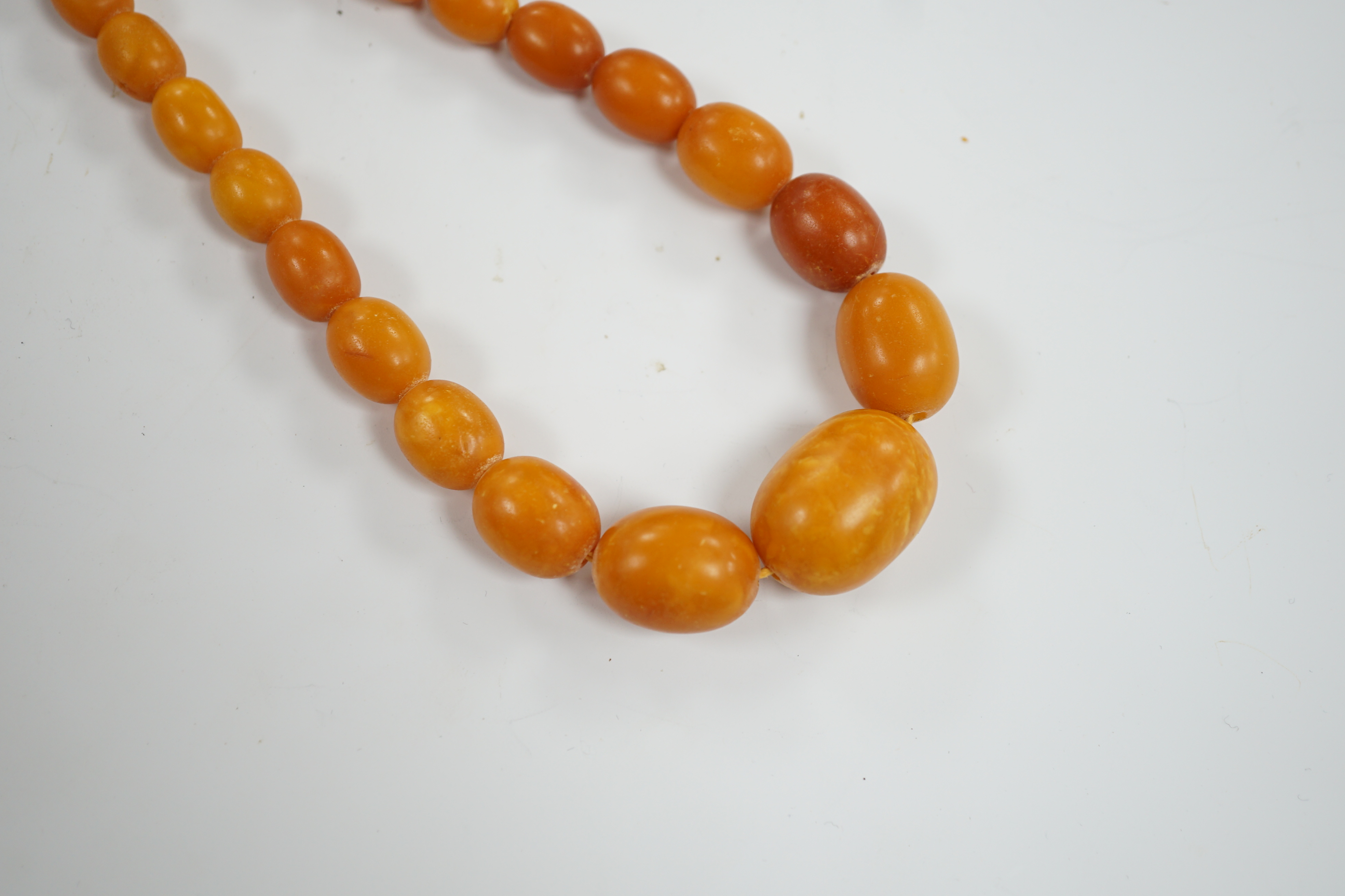 A single strand graduated oval amber bead necklace, 40cm, gross weight 44 grams.